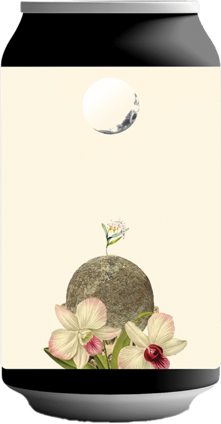 CANS-06